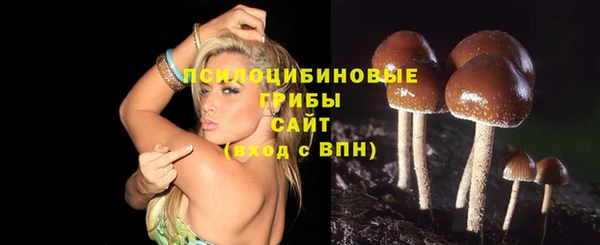 бутират Дмитров