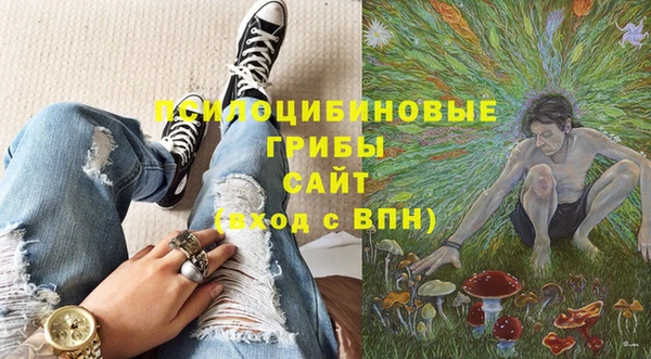 таблы Дмитровск