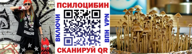 Купить где  Ишим  Галлюциногенные грибы MAGIC MUSHROOMS 