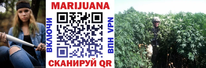 Купить где  Ишим  Каннабис план 